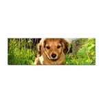 Puppy In Grass Sticker (Bumper)