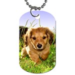 Puppy In Grass Dog Tag (One Side)