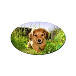 Puppy In Grass Sticker Oval (100 pack)