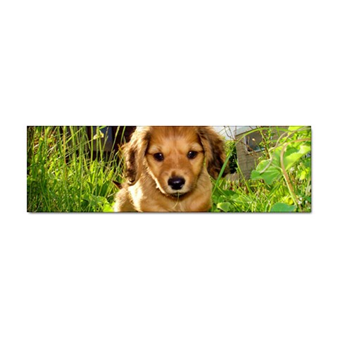 Puppy In Grass Sticker Bumper (10 pack) from UrbanLoad.com Front