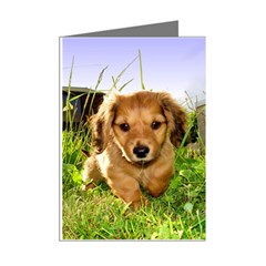 Puppy In Grass Mini Greeting Cards (Pkg of 8) from UrbanLoad.com Right