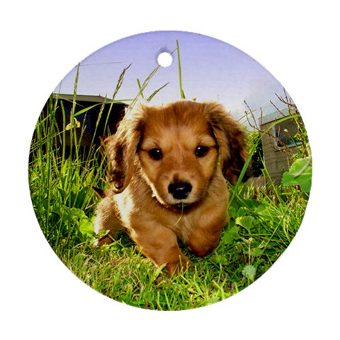 Puppy In Grass Round Ornament (Two Sides) from UrbanLoad.com Front