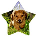 Puppy In Grass Star Ornament (Two Sides)