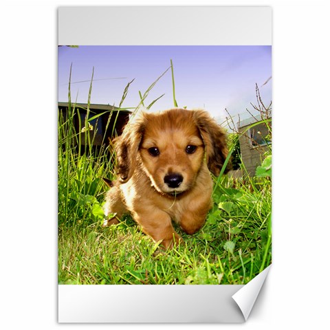 Puppy In Grass Canvas 20  x 30  from UrbanLoad.com 19.62 x28.9  Canvas - 1