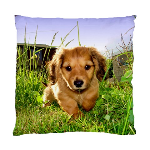 Puppy In Grass Standard Cushion Case (Two Sides) from UrbanLoad.com Back