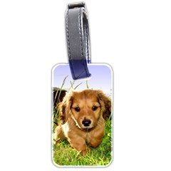 Puppy In Grass Luggage Tag (two sides) from UrbanLoad.com Back