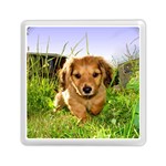 Puppy In Grass Memory Card Reader (Square)