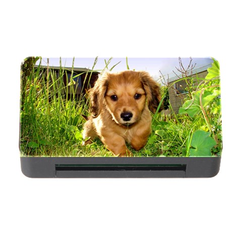 Puppy In Grass Memory Card Reader with CF from UrbanLoad.com Front
