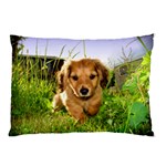 Puppy In Grass Pillow Case (Two Sides)