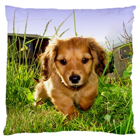 Puppy In Grass Large Cushion Case (One Side) from UrbanLoad.com Front