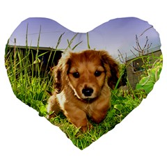 Puppy In Grass Large 19  Premium Heart Shape Cushion from UrbanLoad.com Back