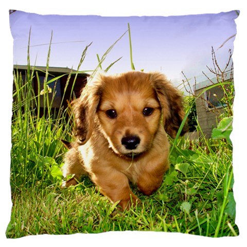 Puppy In Grass Standard Flano Cushion Case (Two Sides) from UrbanLoad.com Front