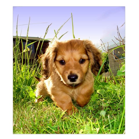 Puppy In Grass Duvet Cover (King Size) from UrbanLoad.com Duvet Quilt