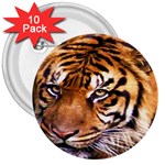 Believe 3  Button (10 pack)