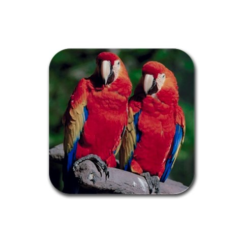 Parrots Bird D6 Rubber Square Coaster (4 pack) from UrbanLoad.com Front
