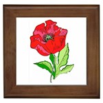 Single Red Poppy Framed Tile