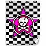 Pink Star Skull Checker Canvas 18  x 24 