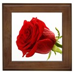 Red Rose Flower M1 Framed Tile