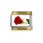 Red Rose Flower M1 Gold Trim Italian Charm (9mm)