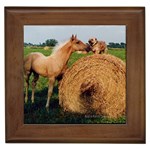 Horse and Dog Meet & Greet Framed Tile
