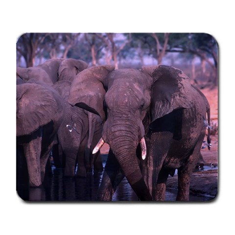 Elephant Animal M10 Large Mousepad from UrbanLoad.com Front