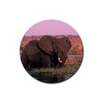 Elephant Animal M1 Rubber Round Coaster (4 pack)