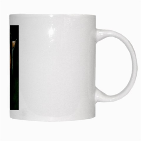 Gift for Sunny White Mug from UrbanLoad.com Right