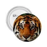Tiger 2.25  Button