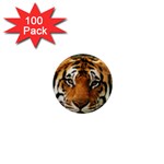 Tiger 1  Mini Magnet (100 pack) 