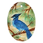 Blue Jay Ornament (Oval)