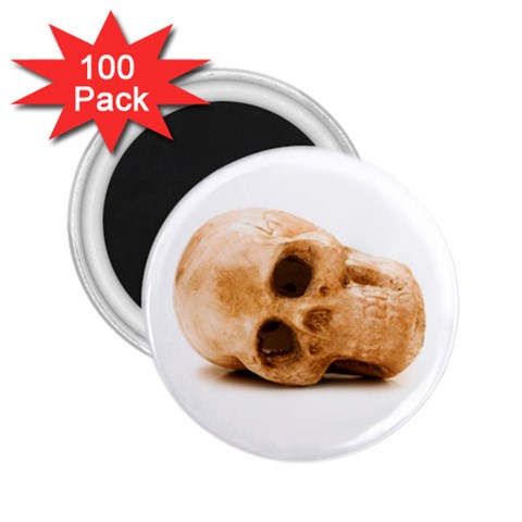 White Skull 2.25  Magnet (100 pack)  from UrbanLoad.com Front