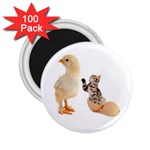 Kitten in an egg with chick 2.25  Magnet (100 pack) 