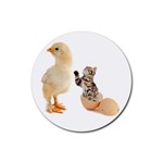 Kitten in an egg with chick Rubber Coaster (Round)
