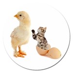 Kitten in an egg with chick Magnet 5  (Round)
