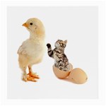 Kitten in an egg with chick Glasses Cloth (Medium)