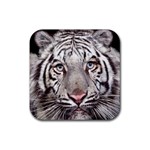 white tiger Rubber Coaster (Square)
