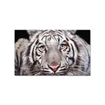 white tiger Sticker Rectangular (100 pack)