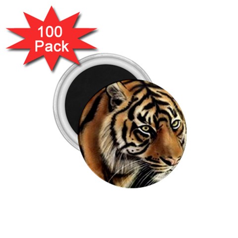tiger 1.75  Magnet (100 pack)  from UrbanLoad.com Front