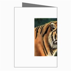 tiger Greeting Cards (Pkg of 8) from UrbanLoad.com Right