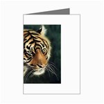 tiger Mini Greeting Cards (Pkg of 8)
