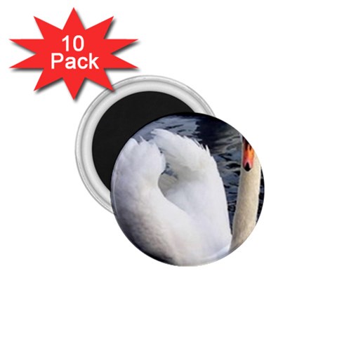 swan 1.75  Magnet (10 pack)  from UrbanLoad.com Front