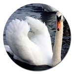 swan Magnet 5  (Round)