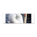 swan Sticker Bumper (10 pack)