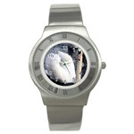 swan Stainless Steel Watch