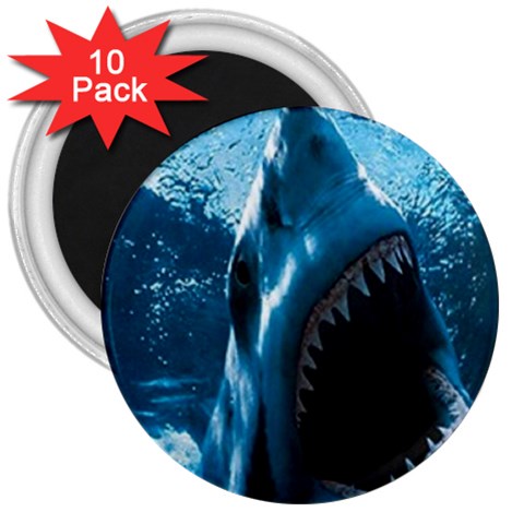 shark 3  Magnet (10 pack) from UrbanLoad.com Front