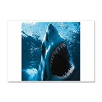 shark Sticker A4 (100 pack)