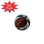 sea_turtle 1  Mini Magnet (100 pack) 