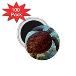 sea_turtle 1.75  Magnet (100 pack) 