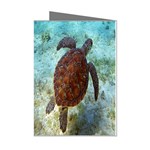 sea_turtle Mini Greeting Cards (Pkg of 8)