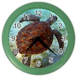 sea_turtle Color Wall Clock